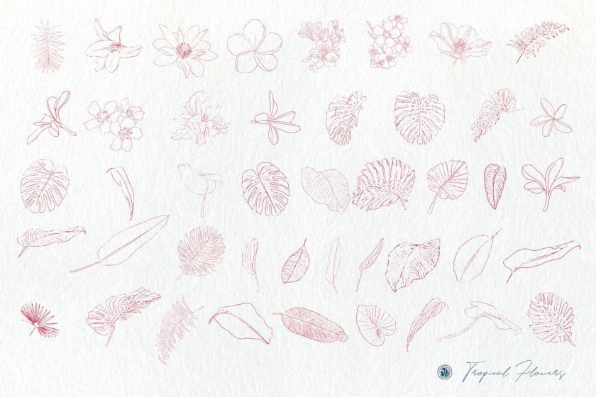 25xt-611766 TropicalFlowersz7.jpg