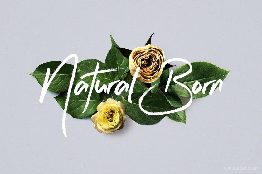 25xt-611846 FlowerBoomGraphicPackz3.jpg