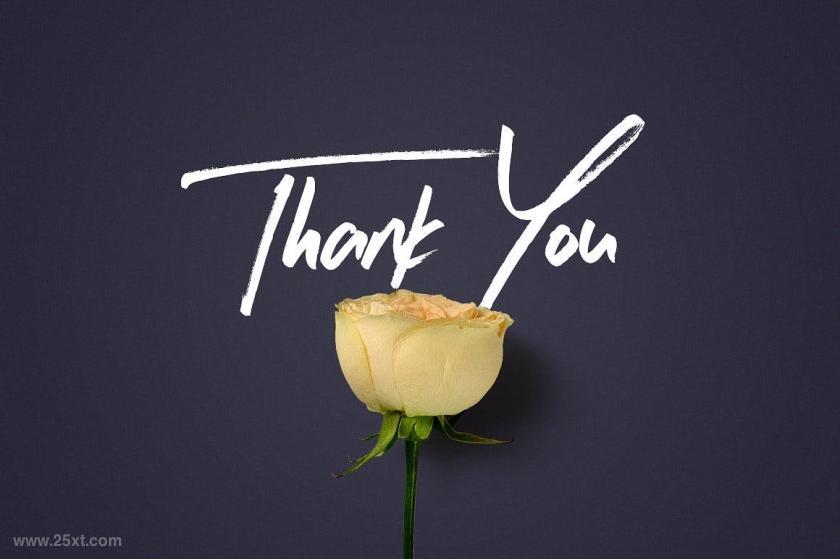 25xt-611846 FlowerBoomGraphicPackz6.jpg
