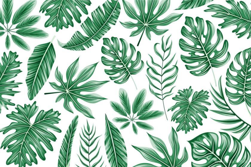 25xt-126134 15TropicalLeaveVectorz3.jpg