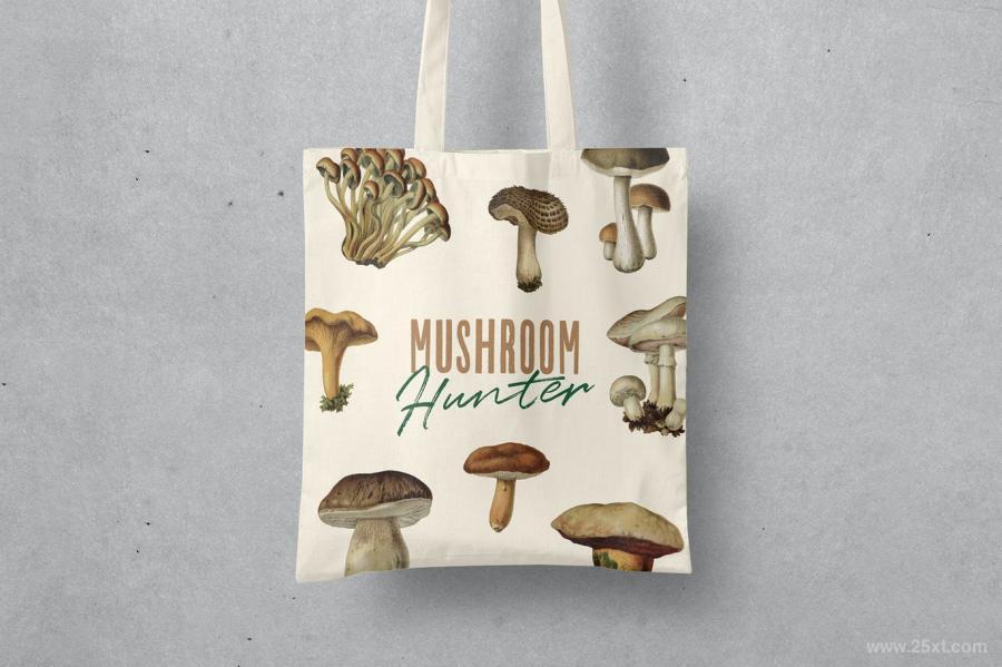 25xt-127750 Fungi-Vol-01---Vintage-Illustrationsz6.jpg