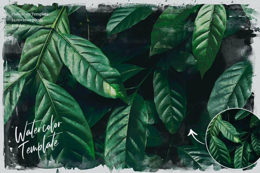 25xt-127906 Watercolor-from-Photo-Templatez4.jpg