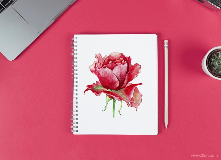 25xt-160035 Watercolor-roses-budsz8.jpg