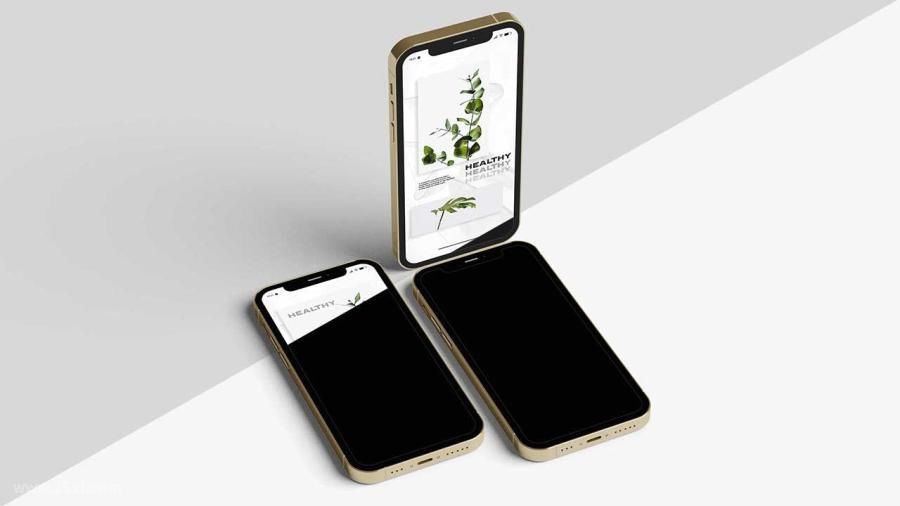 25xt-160096 Elegant-Phone-12---Mockupz4.jpg