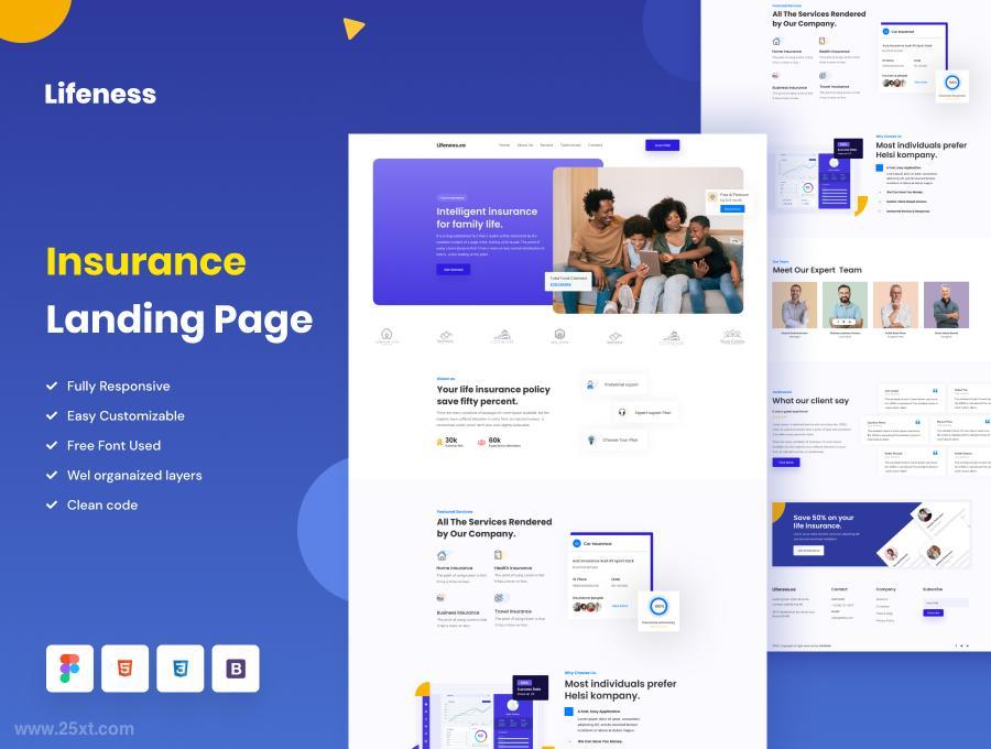 25xt-485048 InsuranceWebsiteDesignCodez3.jpg