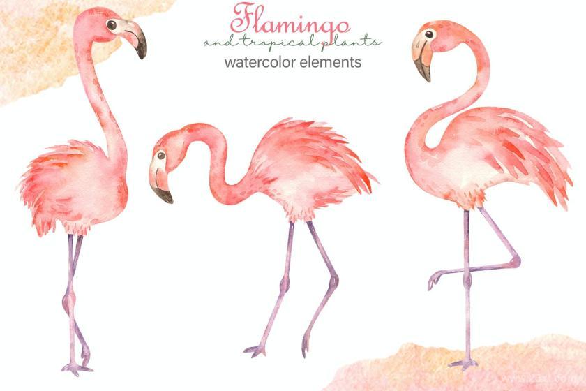 25xt-160418 Watercolorflamingosandtropicalplantsz3.jpg