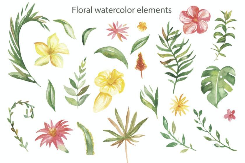 25xt-160424 WatercolorMexicanlittleanimalsz4.jpg