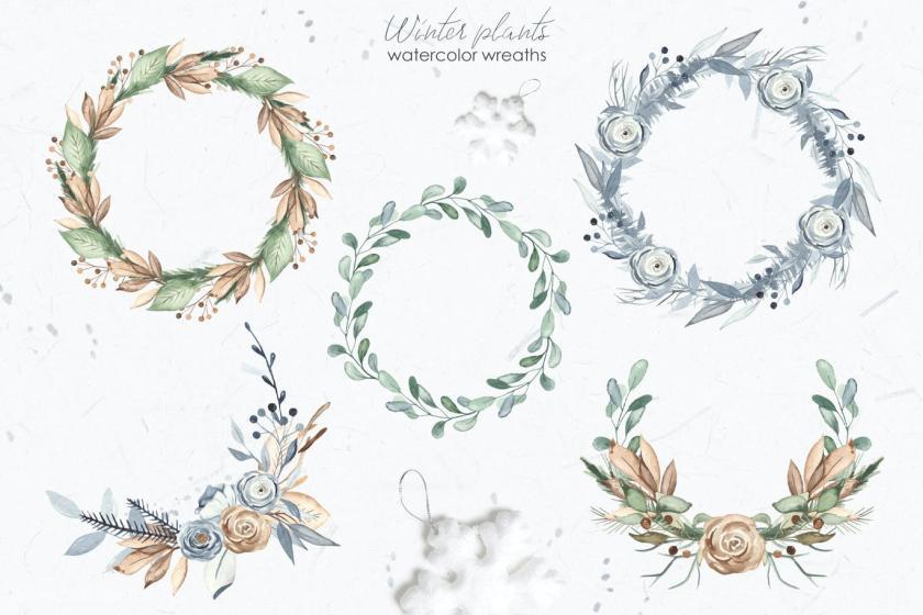 25xt-160436 Watercolorwinterplantsz8.jpg