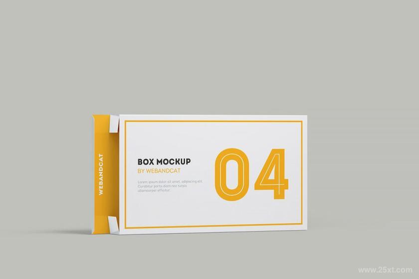 25xt-160759 PackageBoxMock-upFlatRectangleBoxz12.jpg