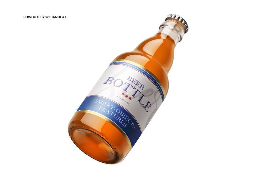25xt-160773 SteinieBeerBottleMock-upz8.jpg