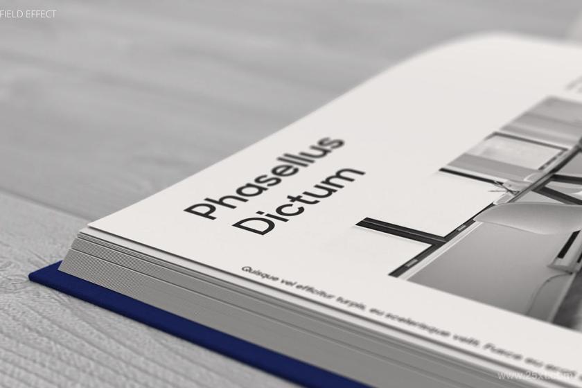 25xt-160790 BookMock-upz10.jpg