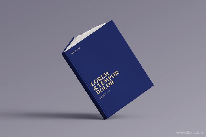 25xt-160790 BookMock-upz11.jpg