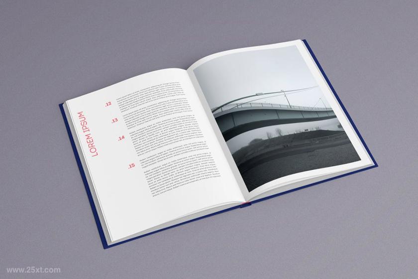 25xt-160790 BookMock-upz5.jpg