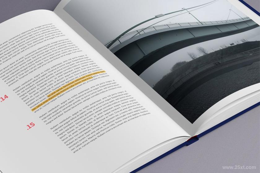 25xt-160790 BookMock-upz6.jpg