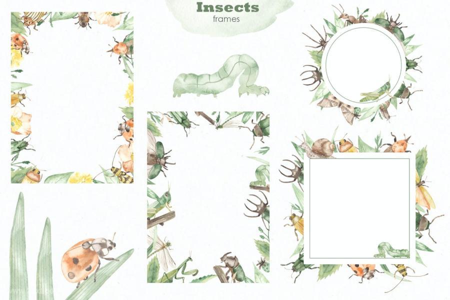 25xt-160830 Insects-watercolor-collectionz10.jpg