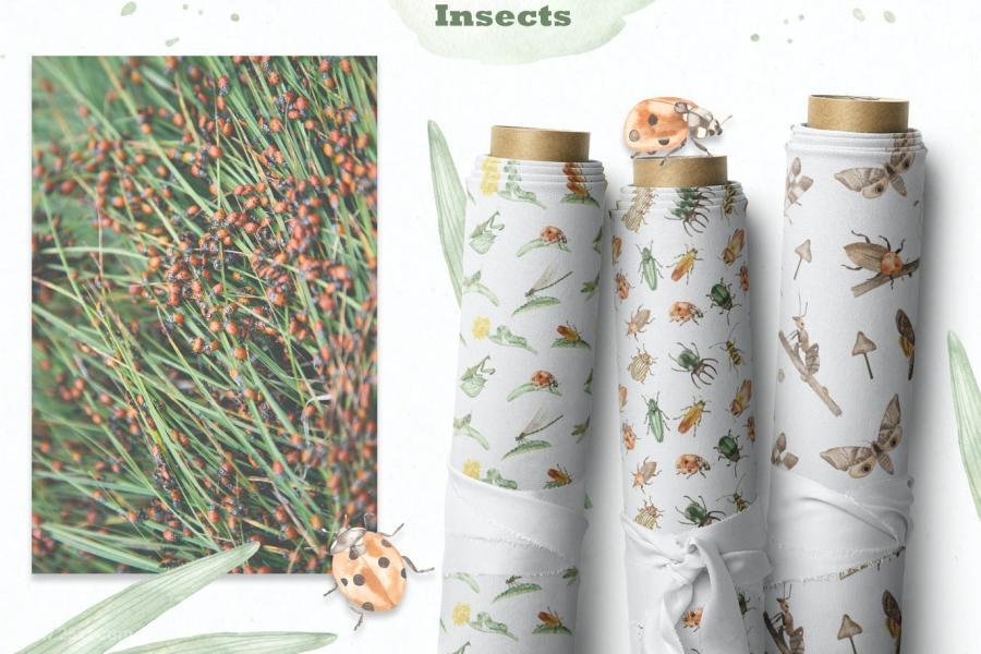 25xt-160830 Insects-watercolor-collectionz13.jpg