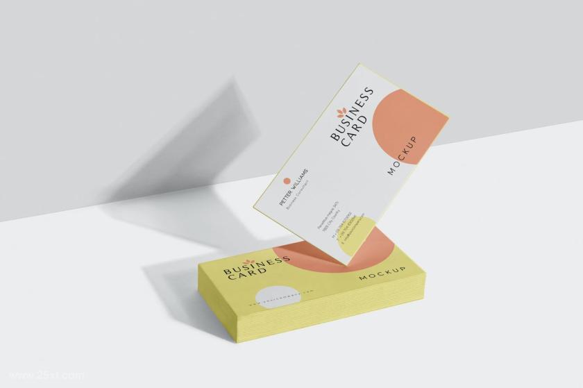 25xt-128378 BusinessCardMock-Upsz4.jpg