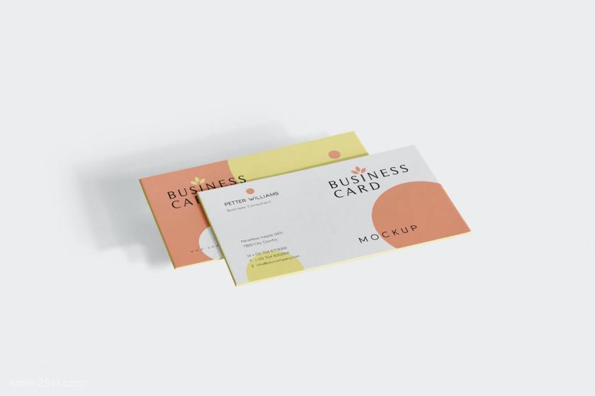 25xt-128378 BusinessCardMock-Upsz5.jpg