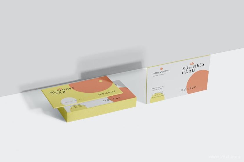 25xt-128378 BusinessCardMock-Upsz6.jpg