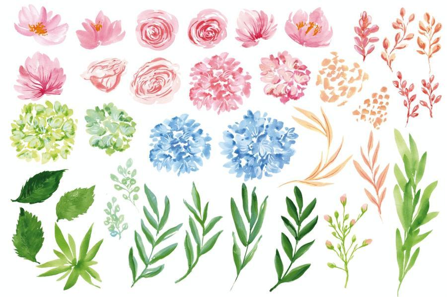 25xt-170294 Hydrangea-watercolor-flowersz3.jpg