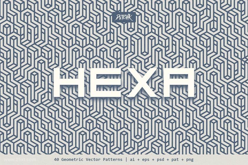 25xt-160936 HexaGeometricVectorPatternsz8.jpg