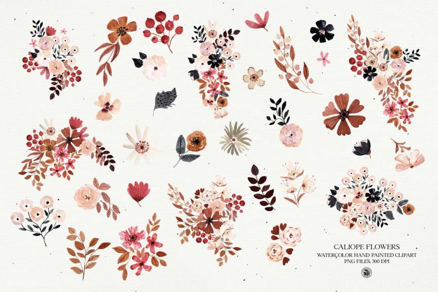 25xt-161051 Caliope-Flowers---watercolor-clipart-setz7.jpg