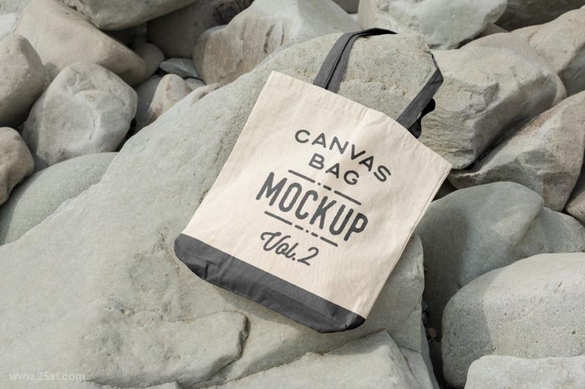 25xt-170492 CanvasToteBagMockupsPackVol2z13.jpg