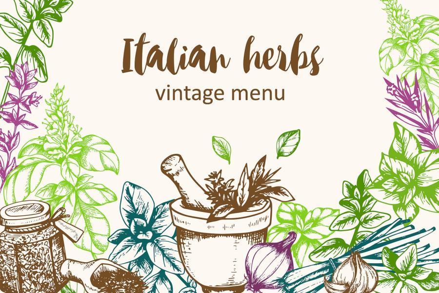 25xt-170589 Vintage-Italian-Herbsz6.jpg
