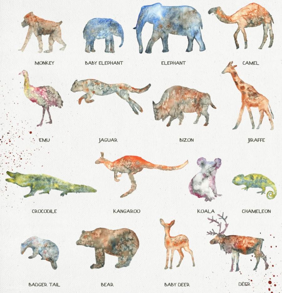 25xt-161151 Animal-Zonez4.jpg