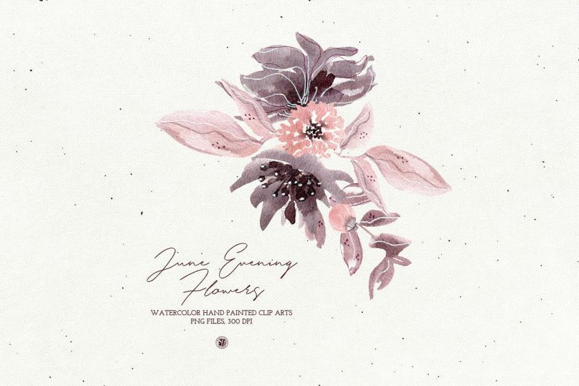 25xt-170015 JuneEveningFlowersz3.jpg