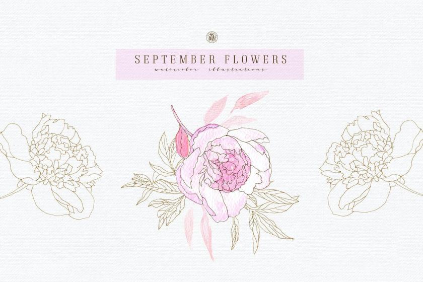 25xt-170020 SeptemberFlowersvol2z4.jpg