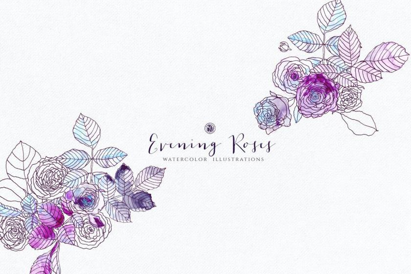 25xt-170021 EveningRosesz8.jpg