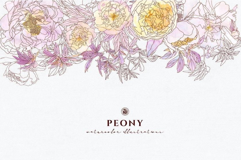 25xt-170024 PeonyFlowersz5.jpg
