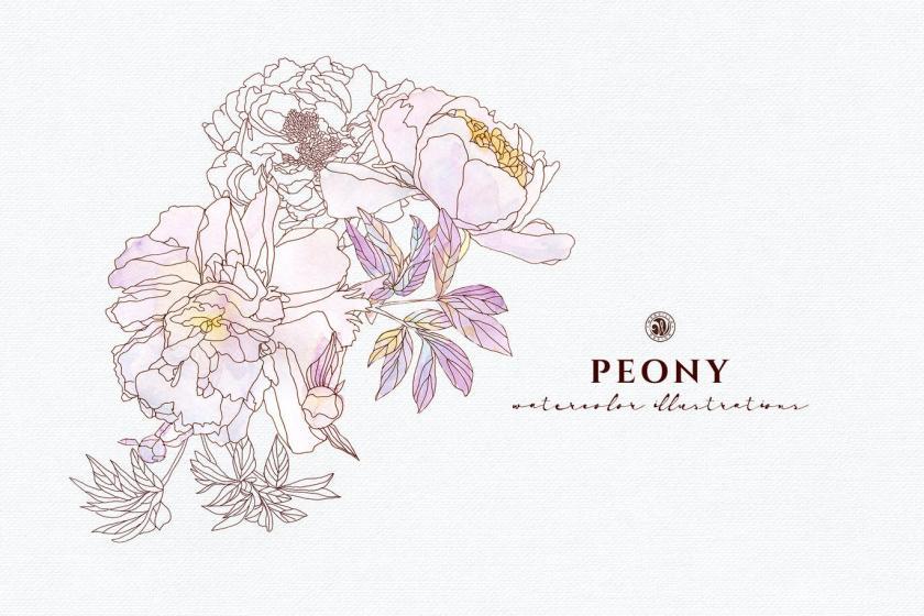 25xt-170024 PeonyFlowersz6.jpg