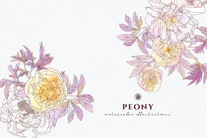 25xt-170024 PeonyFlowersz7.jpg