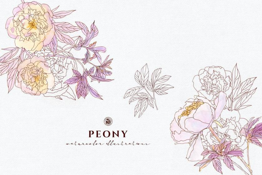 25xt-170024 PeonyFlowersz8.jpg