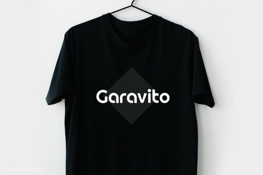 25xt-160660 GaravitoDisplayWebFontz8.jpg