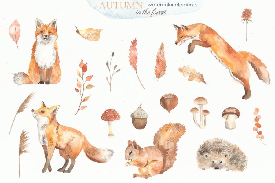 25xt-161475 Autumn-in-the-forest-Watercolor-collectionz3.jpg