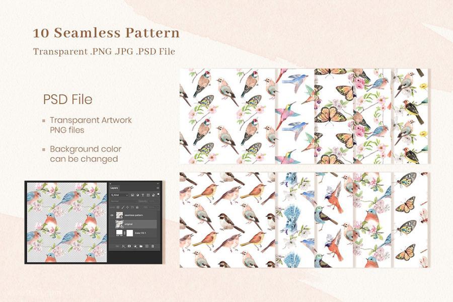 25xt-161506 Spring-Birds-of-Spring-Watercolorz8.jpg