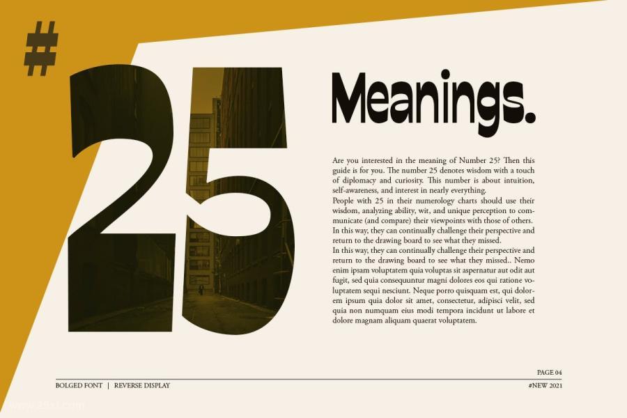 25xt-161277 Bolged---Reverse-Contrast-Fontz5.jpg