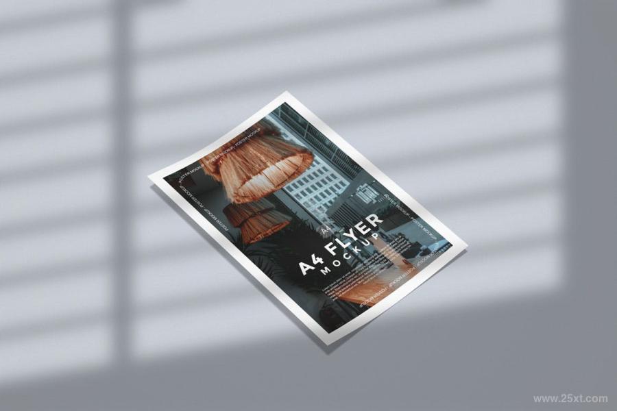 25xt-128517 Flyer-Mockup-with-shadow-overlayz4.jpg