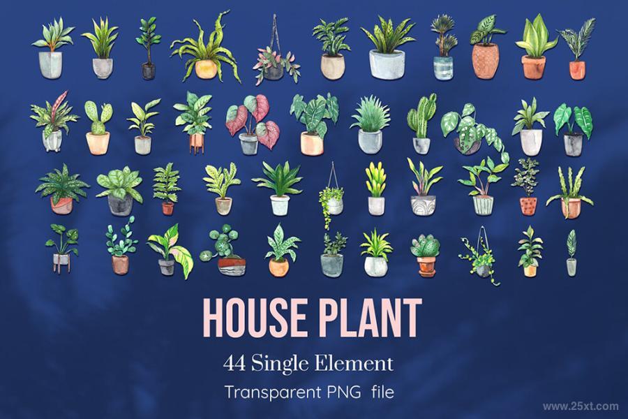25xt-128635 House-Plants-Watercolor-setz9.jpg