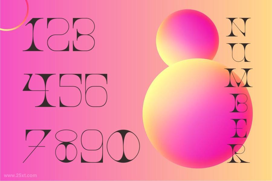 25xt-170849 Le-Monte-Serif-Displayz9.jpg