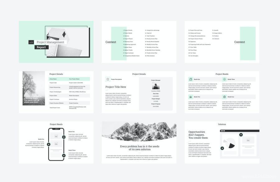 25xt-170855 Project-Management-Report-PowerPointz3.jpg
