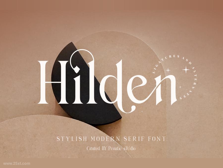 25xt-485220 Hildenstylishmodernseriffontz3.jpg