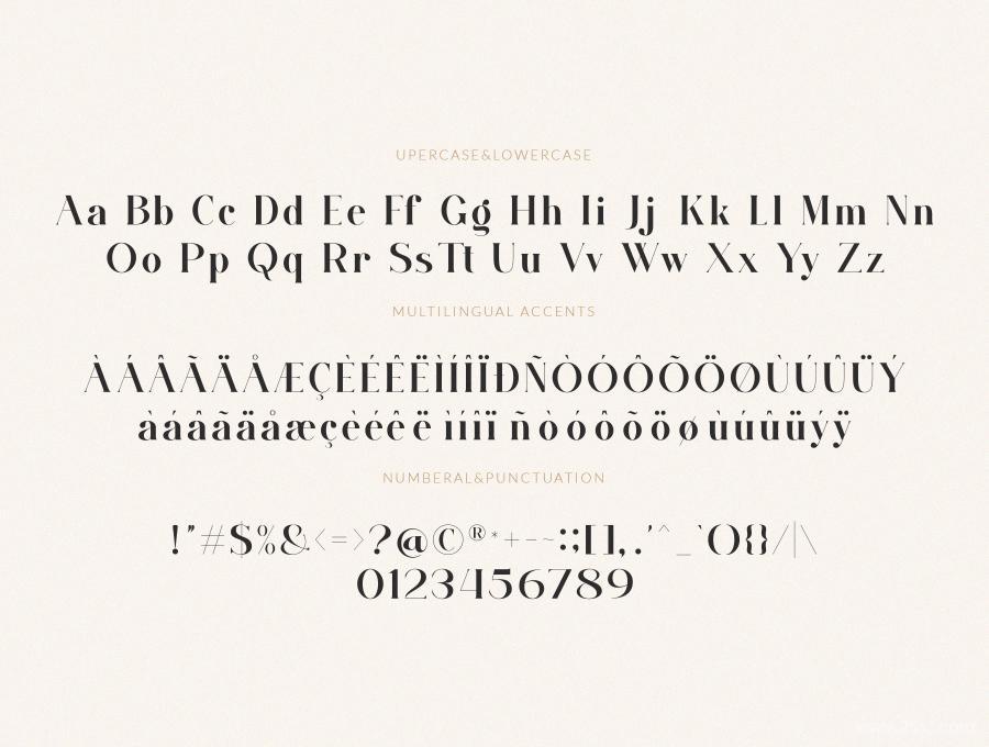 25xt-485501 walkingStraightfontduoserifandsignaturetypefacez7.jpg