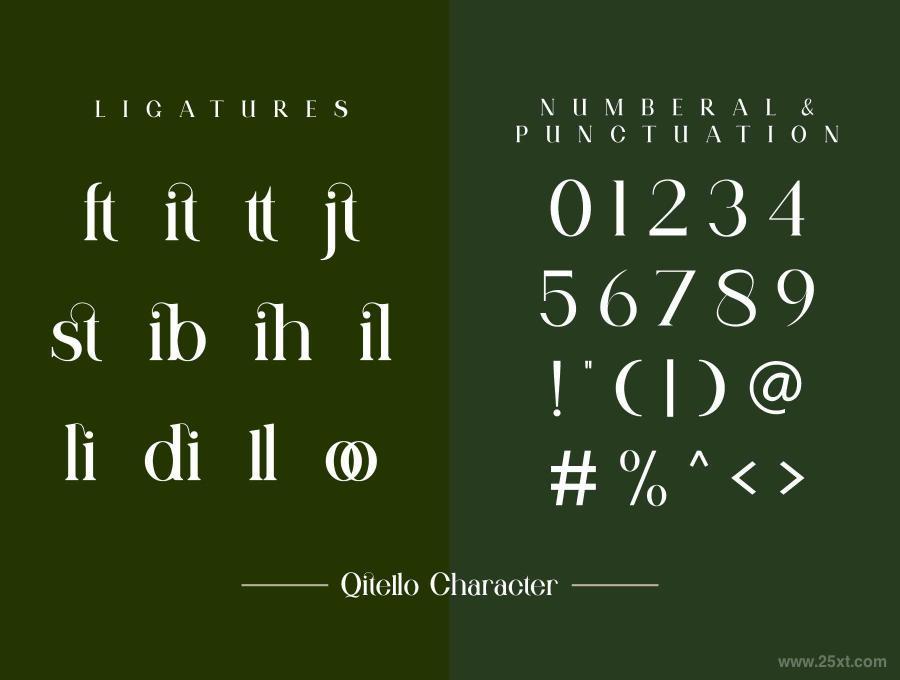25xt-485503 QitelloLigatureSerifTypefacez11.jpg