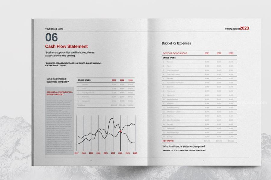 25xt-162782 Gray-Annual-Report-Templatez5.jpg