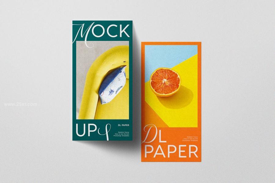 25xt-162486 DL-Paper-Mockupz5.jpg