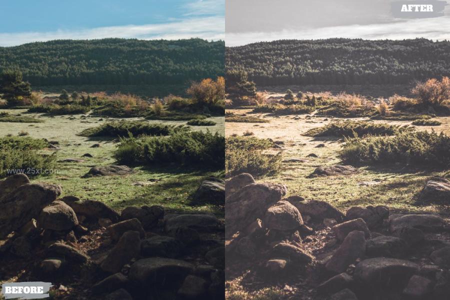 25xt-163160 Cinematic-Outdoor-Lightroom-Presets-Dekstop-Mobilez5.jpg